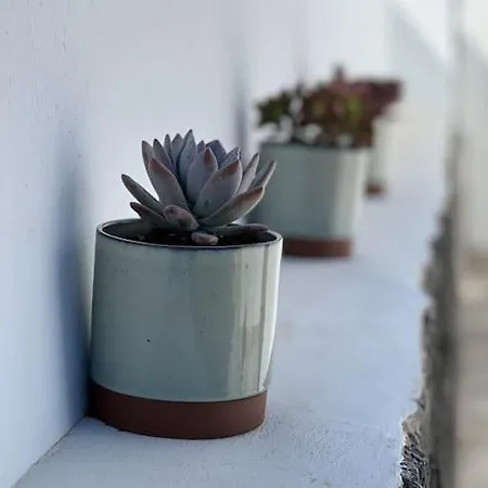 Fashion Iriome ヴィラ プラヤ・ブランカ