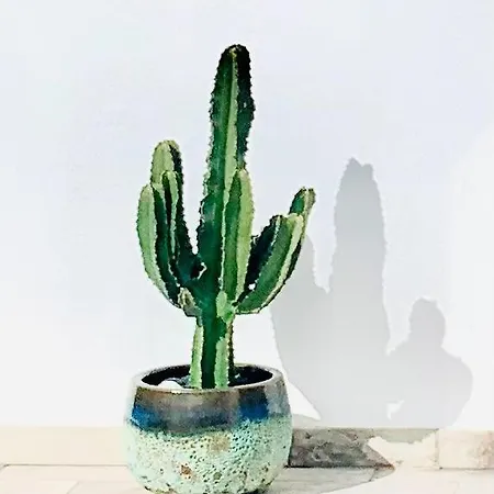 Fashion Iriome ヴィラ