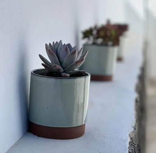 Fashion Iriome Villa Playa Blanca