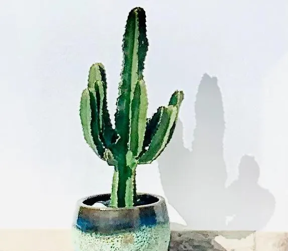 Fashion Iriome Willa