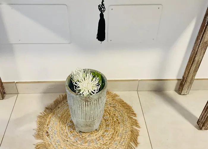 Fashion Iriome Willa *